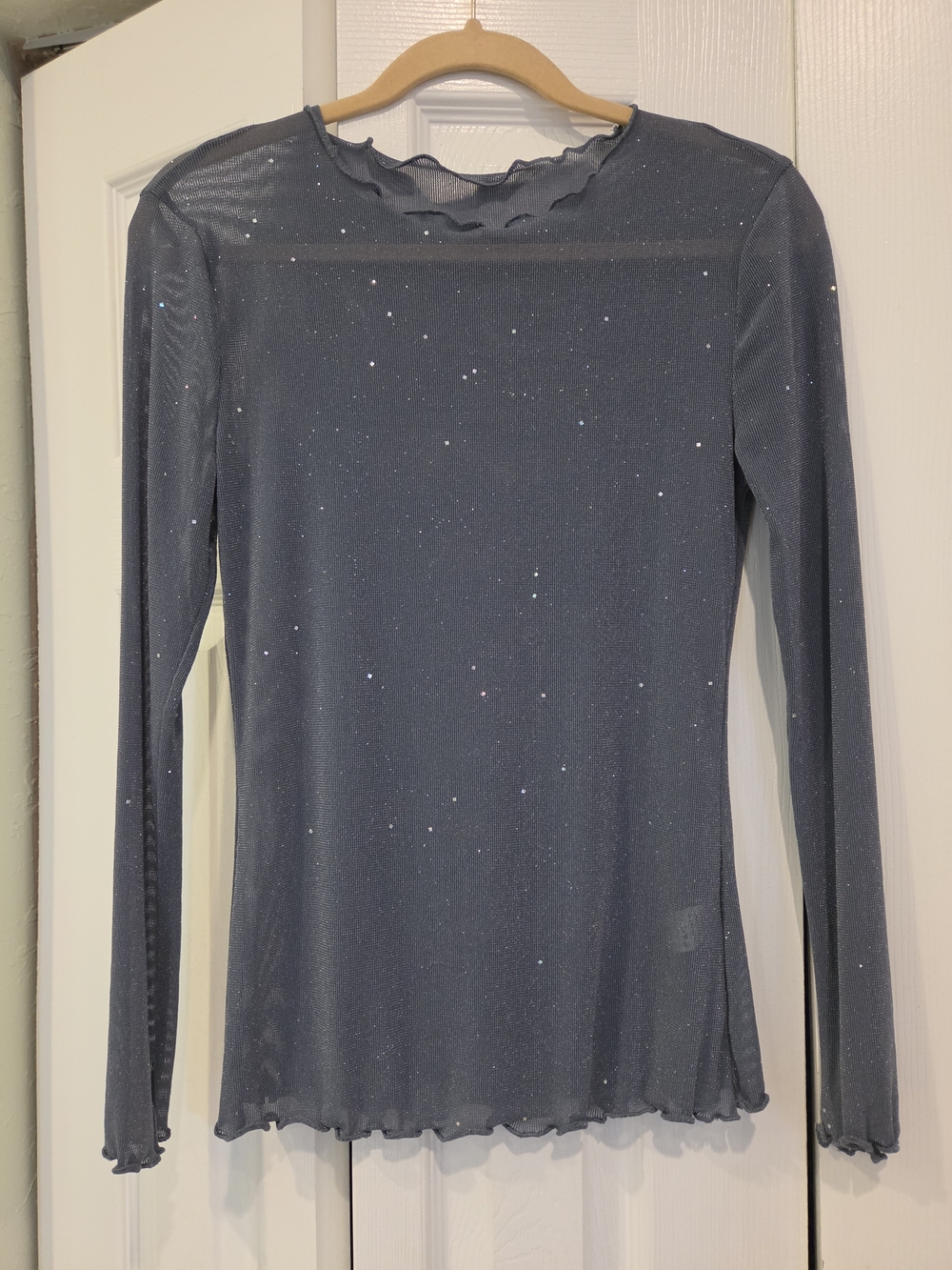 Sheer Metallic Long-Sleeve Top - Slate Blue